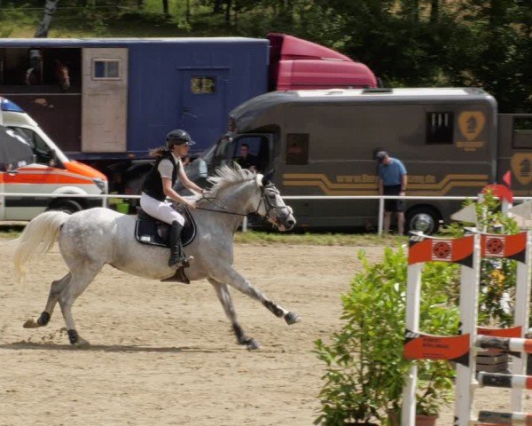 Reitturnier Heiligenwald 2024