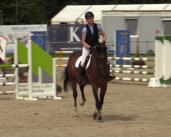 Reitturnier Weiswampach  2024