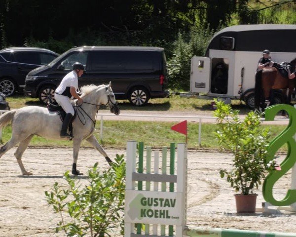 Reitturnier Heiligenwald 2024