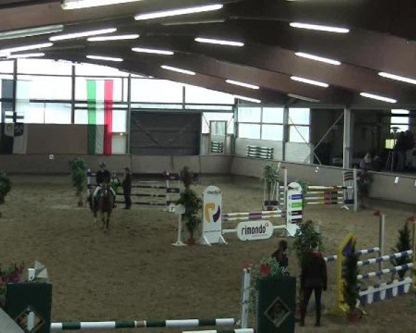 Hallen-Reit- und Springturnier 2013 beim RV Alt Marl