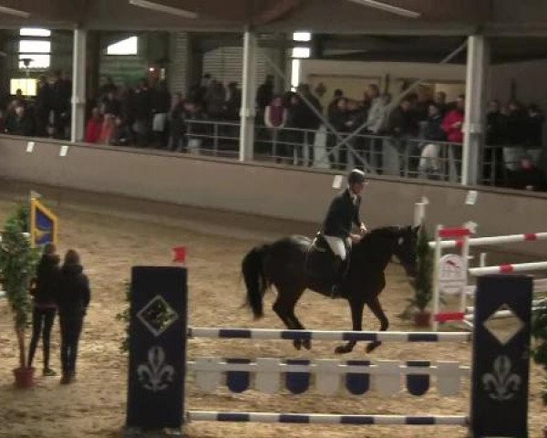 Hallen-Reit- und Springturnier 2013 beim RV Alt Marl