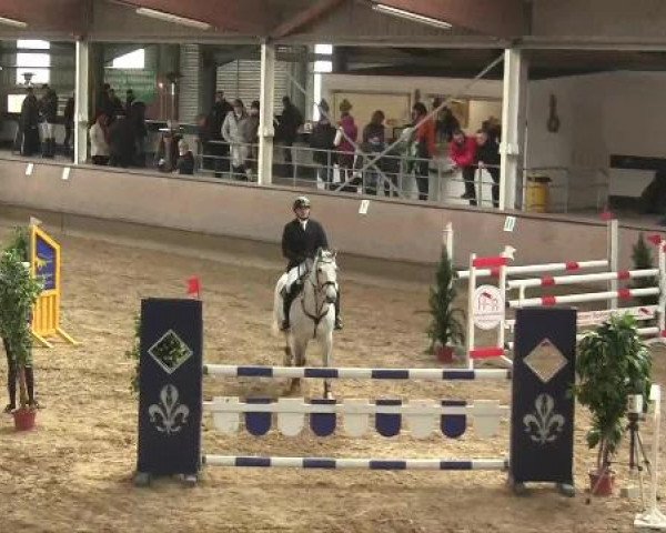 Hallen-Reit- und Springturnier 2013 beim RV Alt Marl