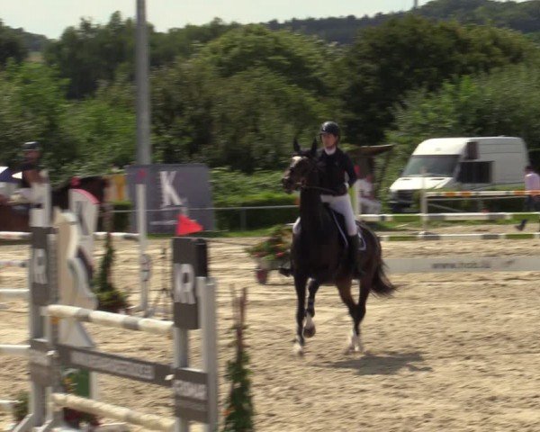 Reitturnier Weiswampach  2024