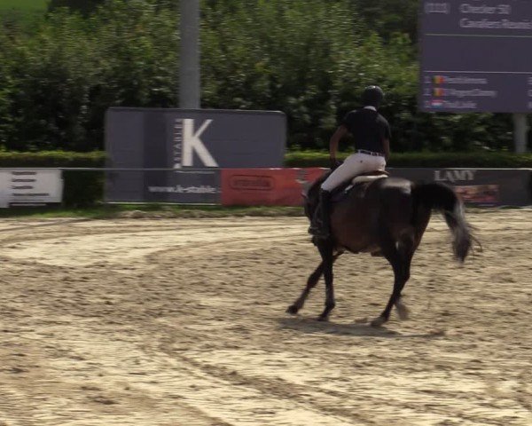 Reitturnier Weiswampach  2024