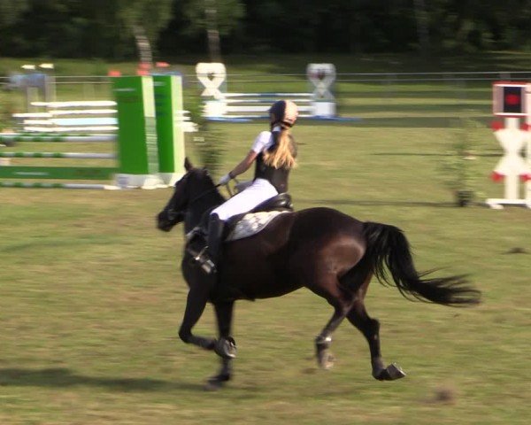 Reitturnier Gardelegen 2024