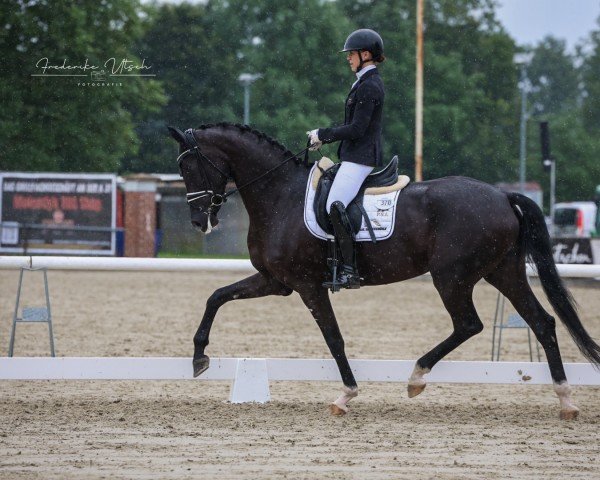 dressage horse Sezantine PS (Oldenburg, 2020)