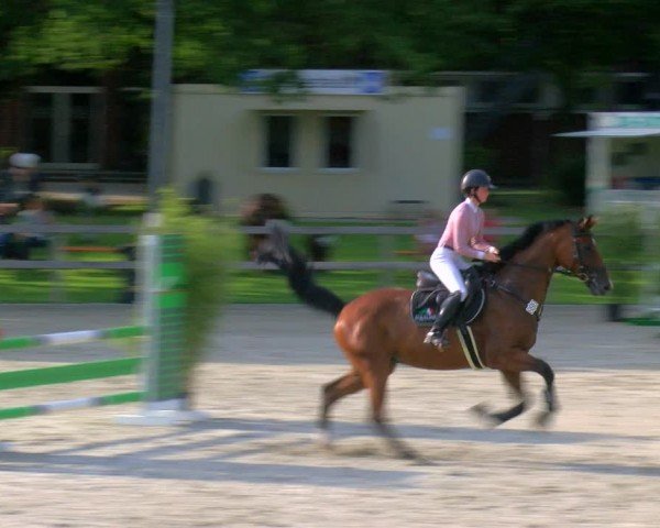 Reitturnier Barlo-Bocholt 2024