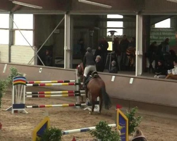 Hallen-Reit- und Springturnier 2013 beim RV Alt Marl