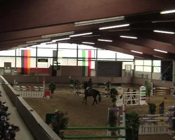 Hallen-Reit- und Springturnier 2013 beim RV Alt Marl