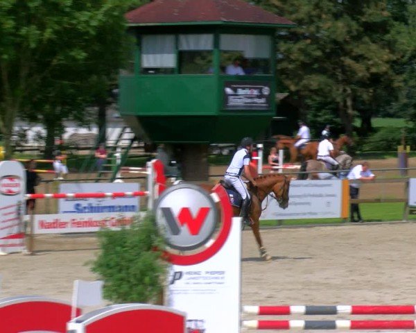 Reitturnier Barlo-Bocholt 2024
