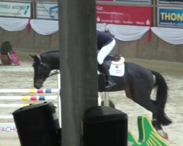 Spring-Event Goch 2013