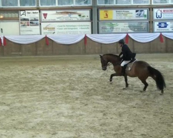 Spring-Event Goch 2013