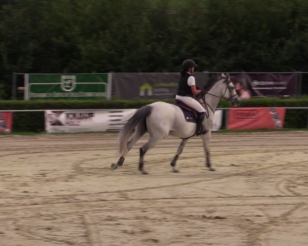 Reitturnier Weiswampach  2024