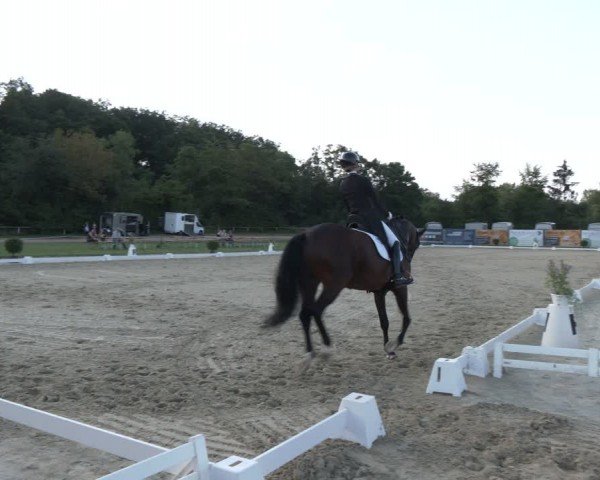 Reitturnier Heiligenwald 2024