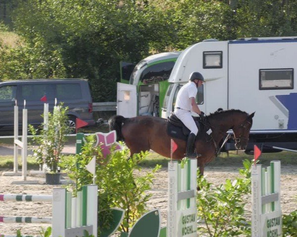 Reitturnier Heiligenwald 2024