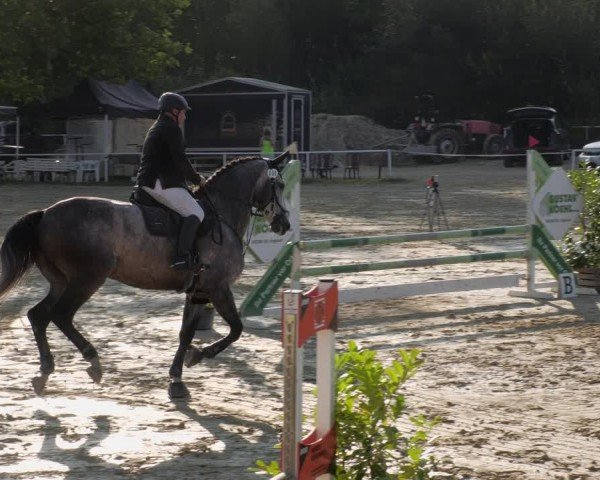 Reitturnier Heiligenwald 2024