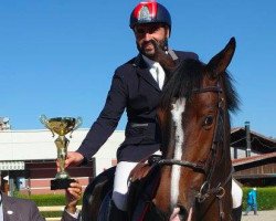 broodmare Upsala du Petit Bois Z (Zangersheide riding horse, 2010, from Ustinov)