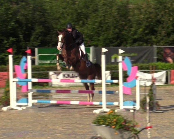 Reitturnier Weiswampach  2024