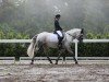 dressage horse Lilo 75 (Lusitano, 2016)