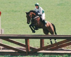 broodmare Anda de Fertiere (French Pony, 1988, from Island x)