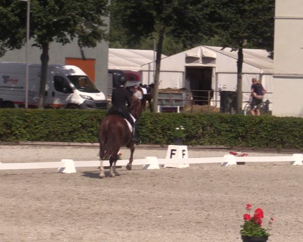 Reitturnier Neustadt/Dosse 2024