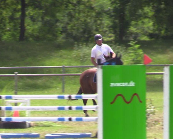Reitturnier Gardelegen 2024