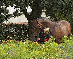 dressage horse Enzo Minka (Rhinelander, 2013, from Enzo Ferrari)