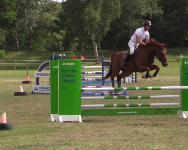 Reitturnier Gardelegen 2024