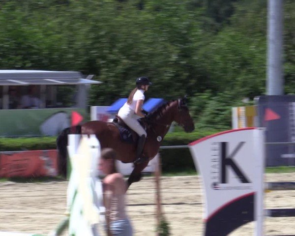 Reitturnier Weiswampach  2024