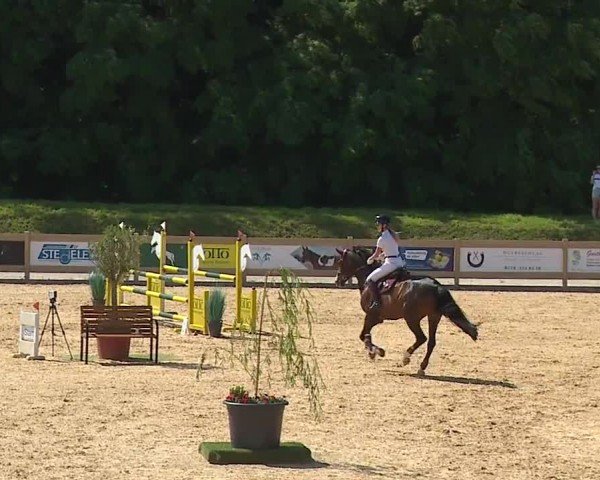 Reitturnier Tiefenhof/Opf. 2024