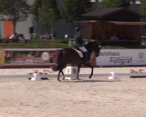 Reitturnier Neustadt/Dosse 2024