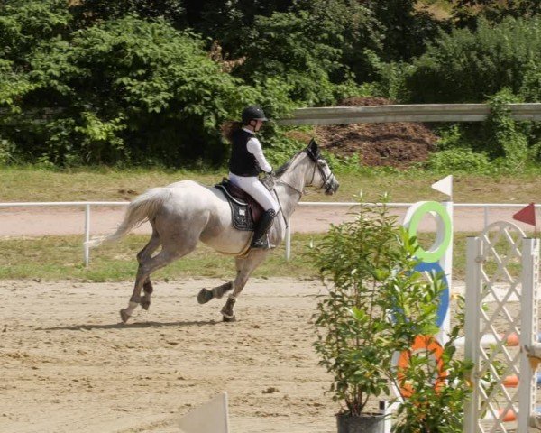 Reitturnier Heiligenwald 2024