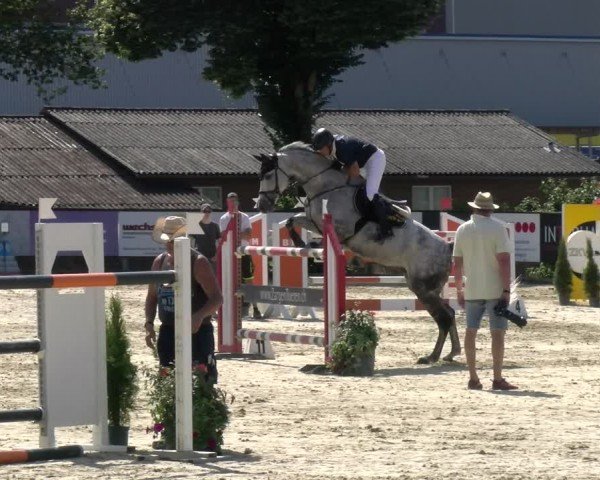 Reitturnier Dagmersellen 2024