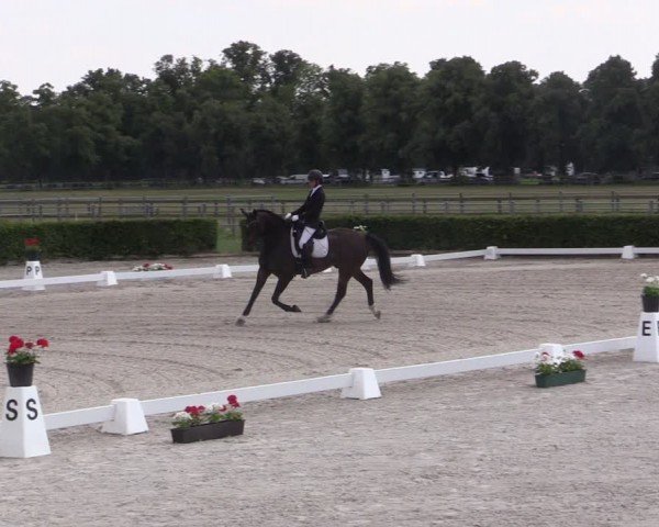 Reitturnier Neustadt/Dosse 2024