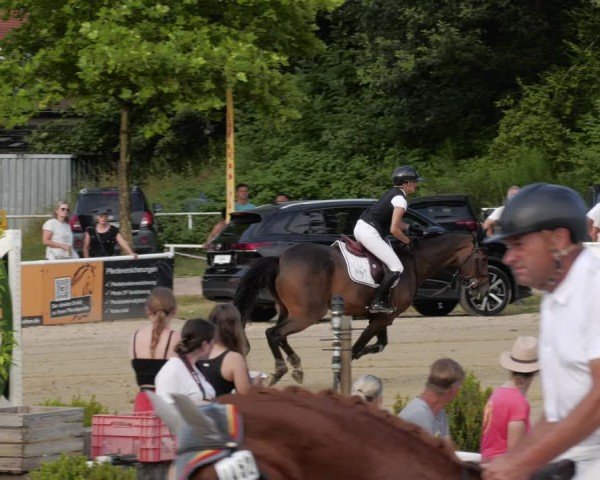 Reitturnier Heiligenwald 2024
