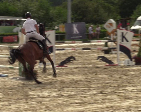 Reitturnier Weiswampach  2024