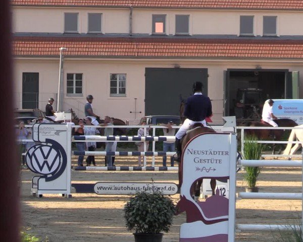 Reitturnier Neustadt/Dosse 2024