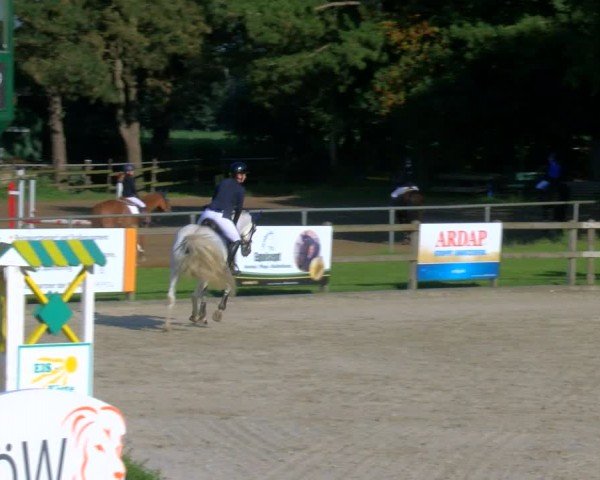 Reitturnier Barlo-Bocholt 2024