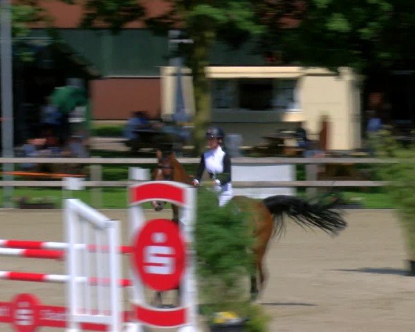 Reitturnier Barlo-Bocholt 2024