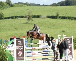 jumper Bern 6 (Hanoverian, 2012, from Balou du Rouet)