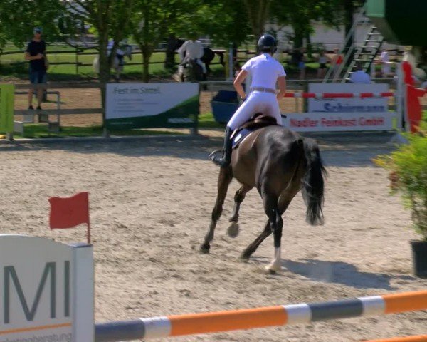 Reitturnier Barlo-Bocholt 2024