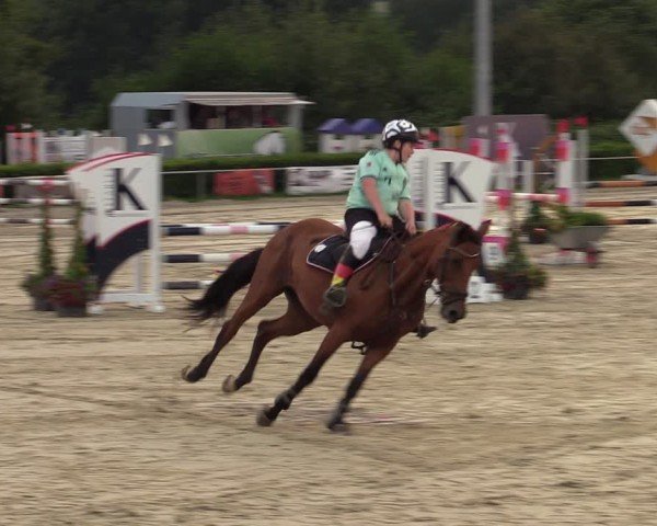 Reitturnier Weiswampach  2024