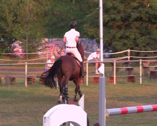 Reitturnier Gardelegen 2024
