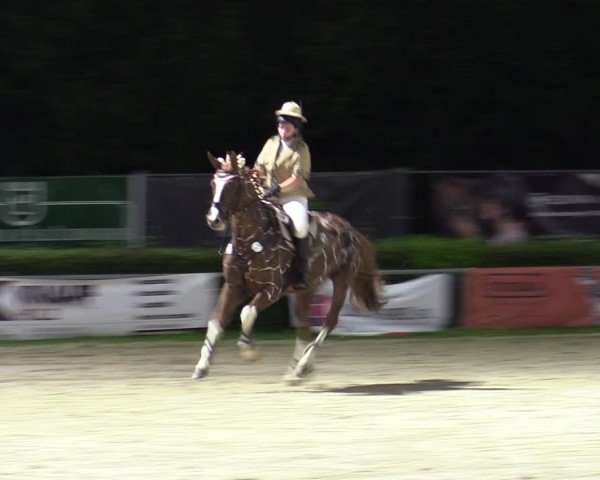 Reitturnier Weiswampach  2024