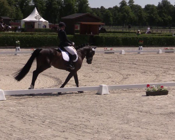 Reitturnier Neustadt/Dosse 2024