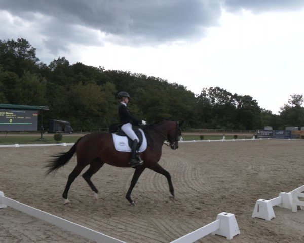 Reitturnier Heiligenwald 2024