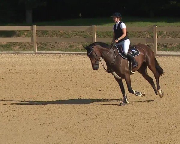Reitturnier Tiefenhof/Opf. 2024
