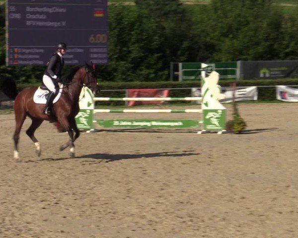 Reitturnier Weiswampach  2024