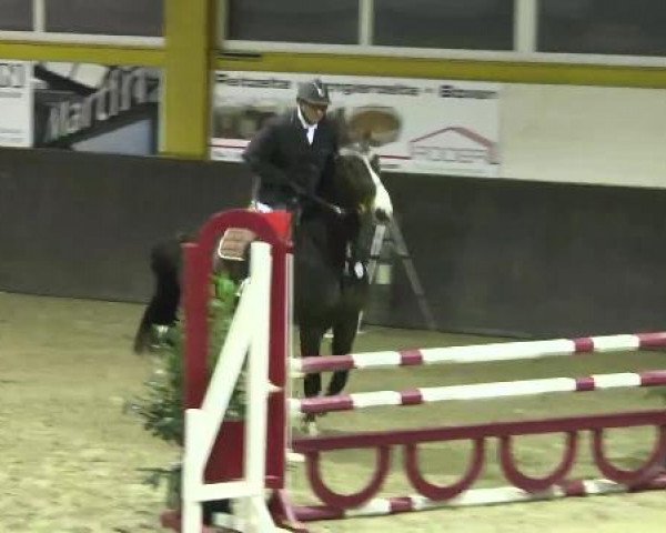 Nationales Hallenspringturnier Sauldorf- Boll 2013