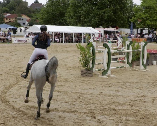 Reitturnier Heiligenwald 2024